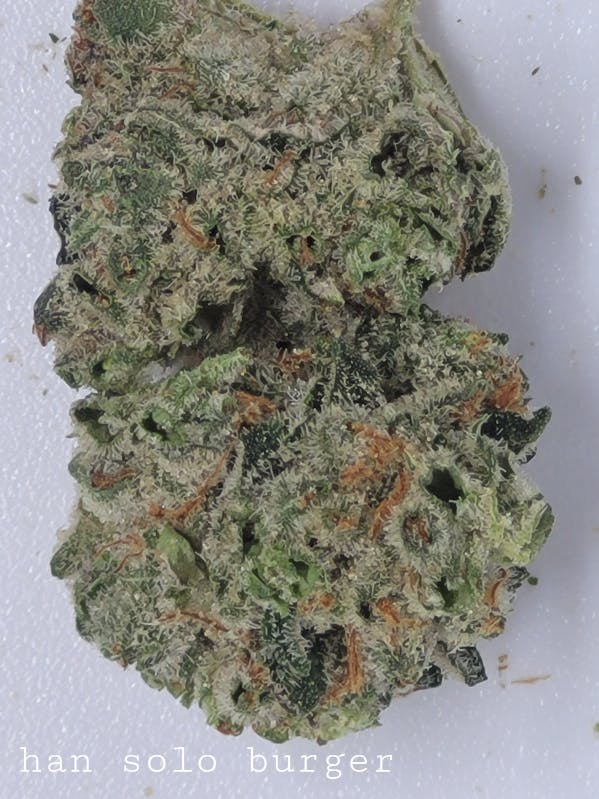 Photograph of product: Han Solo Burger 30% by PMG