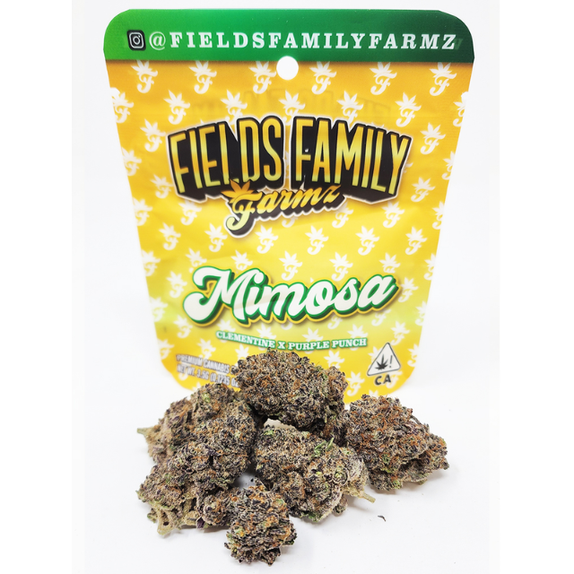 Photograph of product: 1/8 OZ- MIMOSA- PREMIUM INDOOR