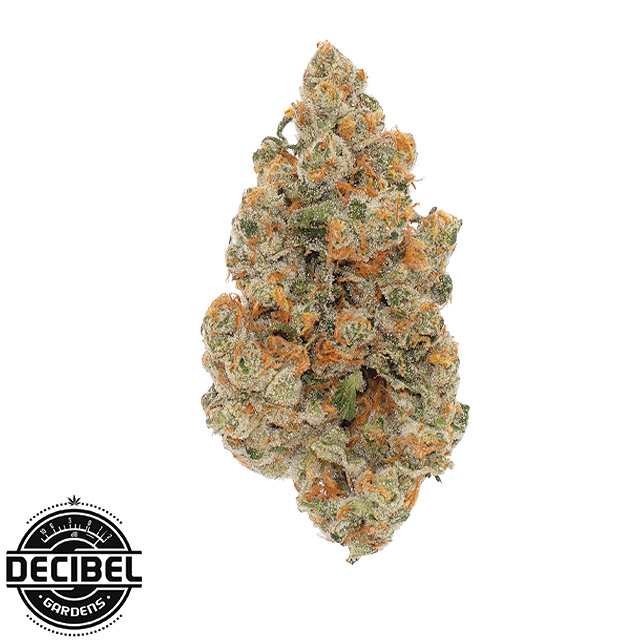 Photograph of product: MIYAZAKI MANGO - 3.5 G