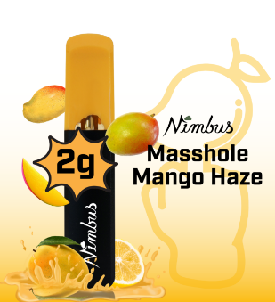 Photograph of product: Masshole Mango Haze Disposable (2g)