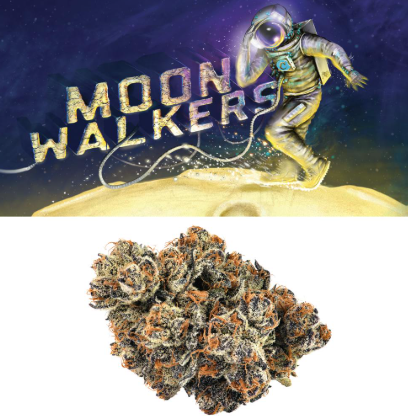 Photograph of product: Cookies Moonwalkers Prepack Rec - 3.5g