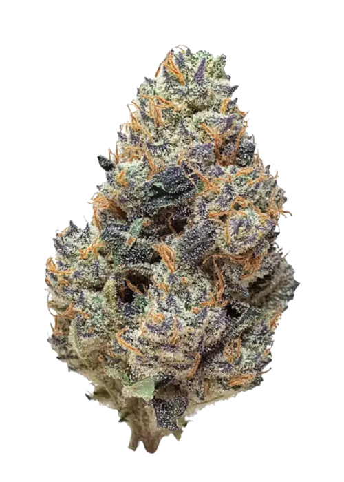 Photograph of product: Pruf Cultivar Gumi - 28g