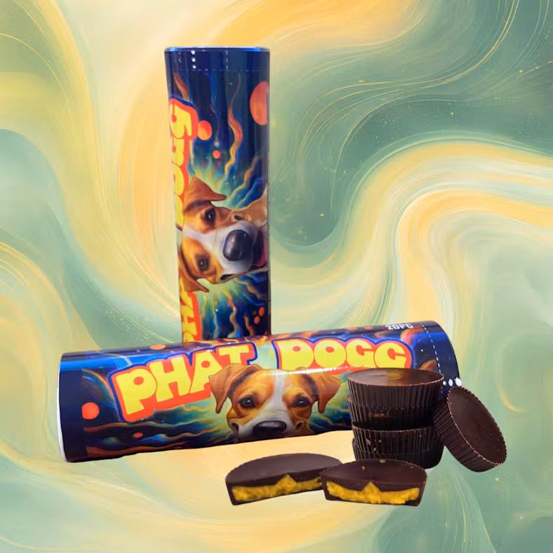 Photograph of product: Phat Dogg - Orange Coins - Chocolates - 100mg