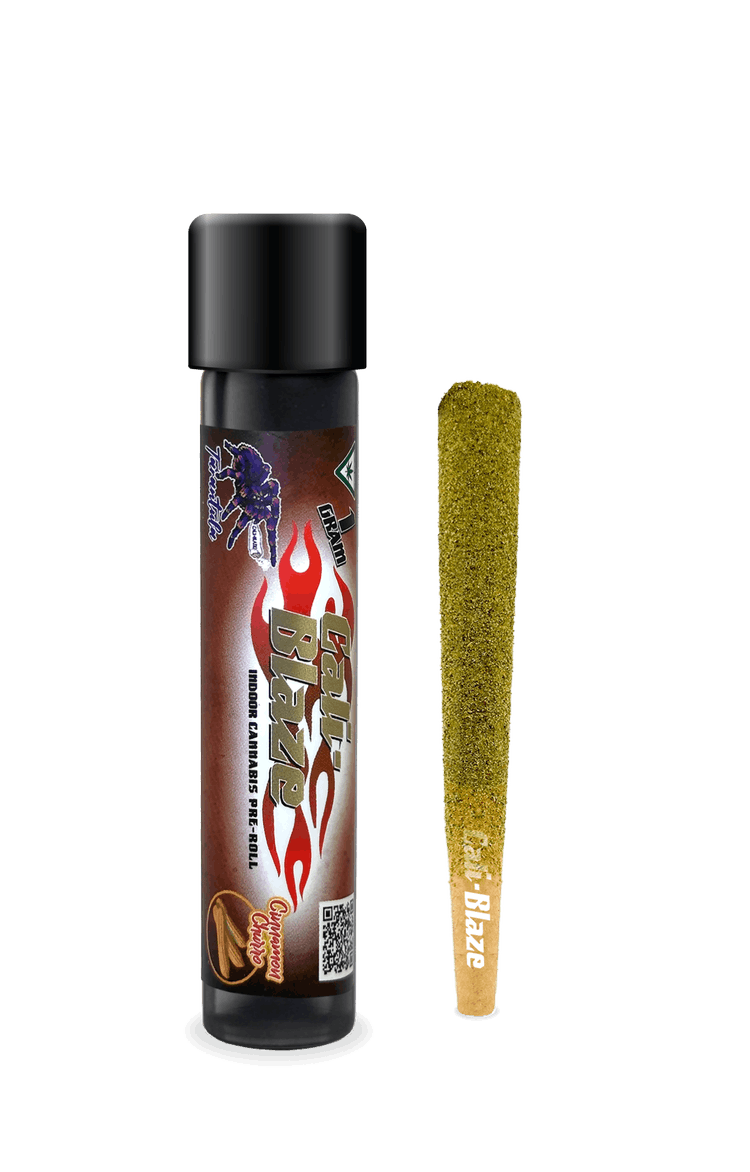 Photograph of product: CINNAMON CHURRO| TARANTULA