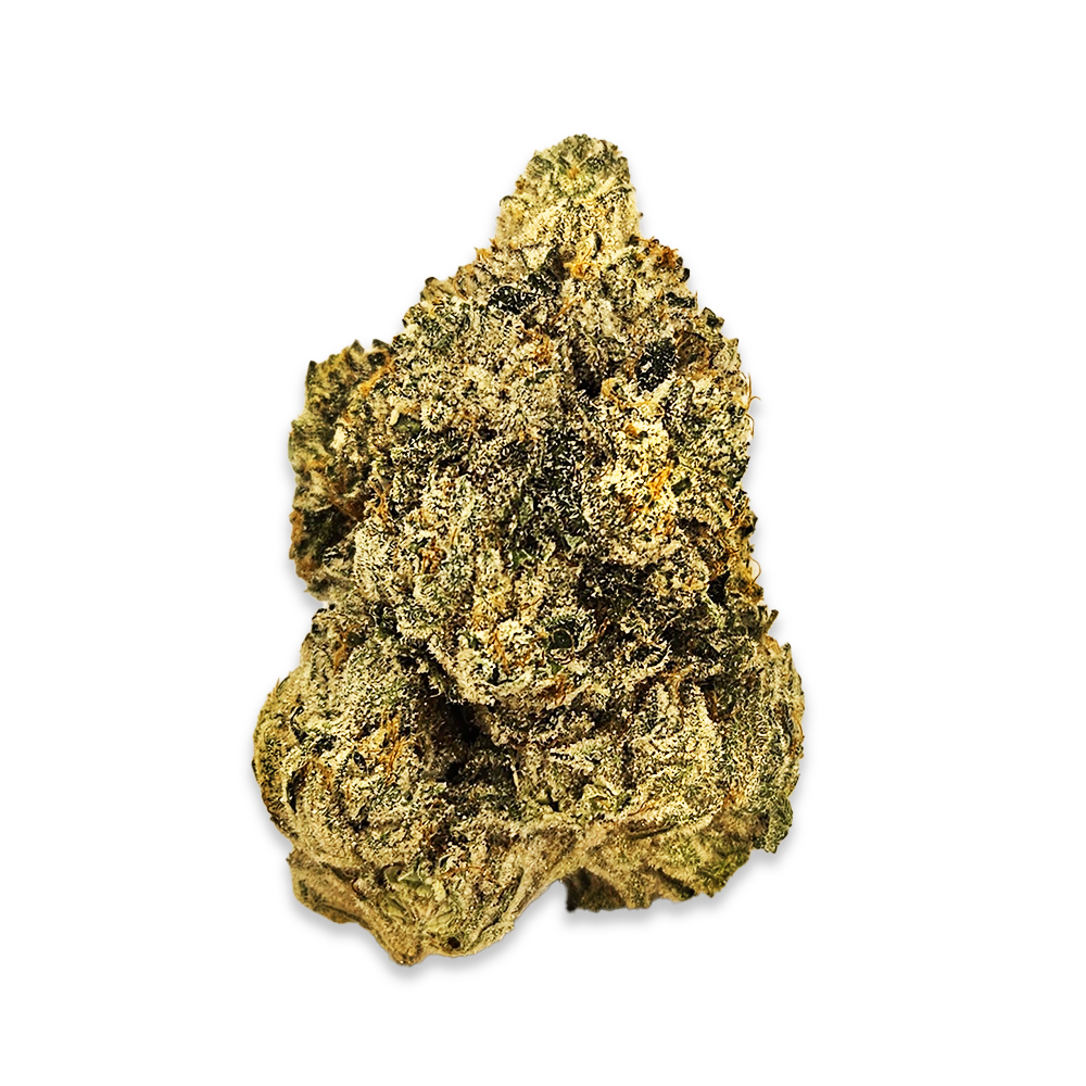 Photograph of product: World Star (February '25 Harvest) - 1g
