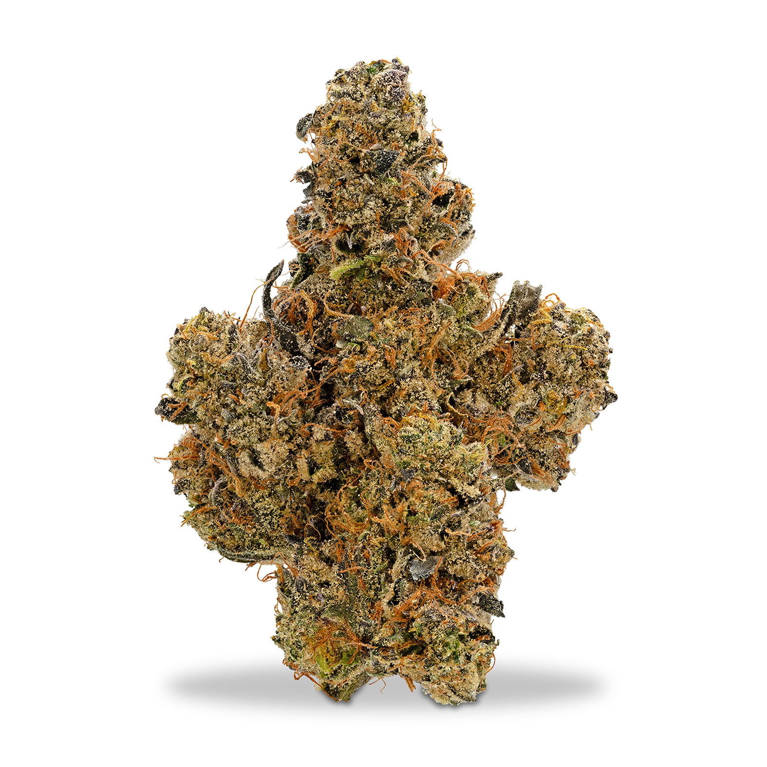 Photograph of product: Oregon Roots - GSC Forum - 1g