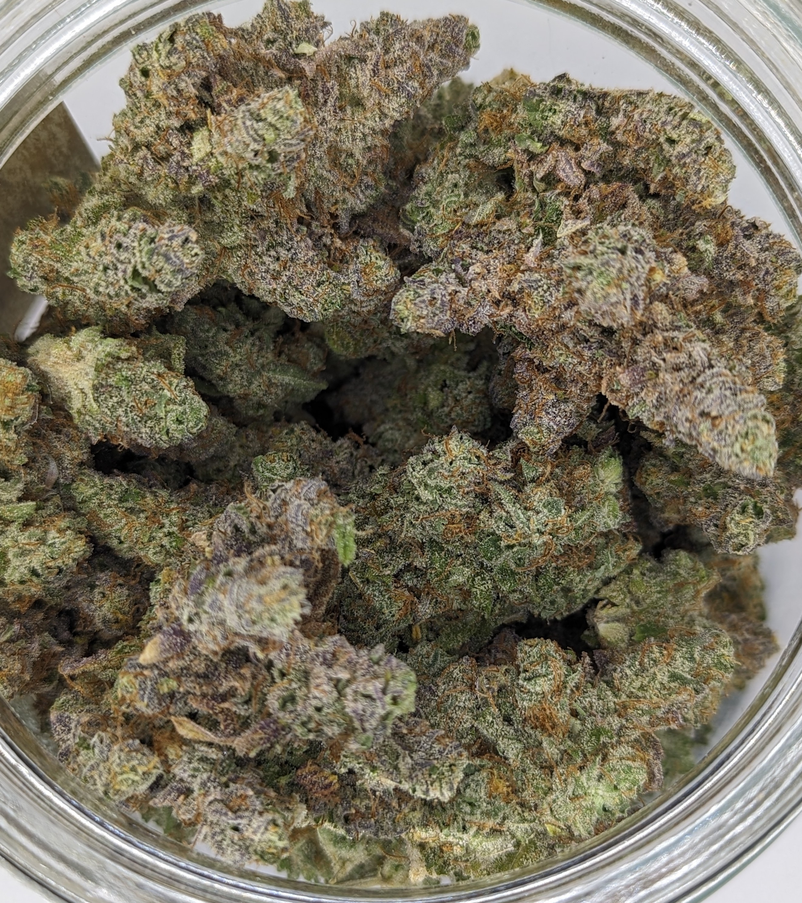 Photograph of product: Blueberry Cake | Harvested: 07/07/2025 - 3.5g