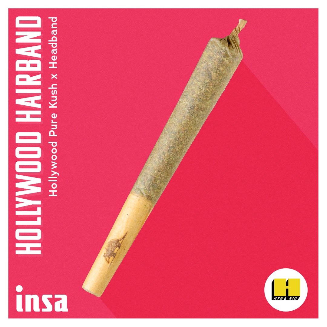 Photograph of product: Pre-Roll - Hollywood Hairband