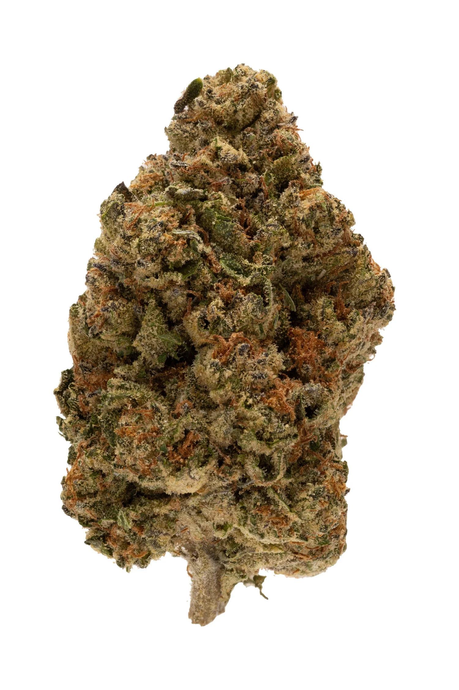 Photograph of product: Rolling Green | Sunset Mint | Flower | Hybrid - 3.5g