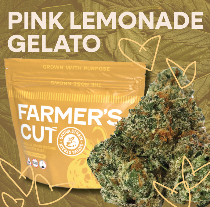 Photograph of product: Pink Lemonade Gelato - Oui'd Flower - Farmer's Cut - 3.5g