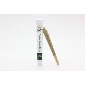 Photograph of product: AMP Chem Pre-Roll