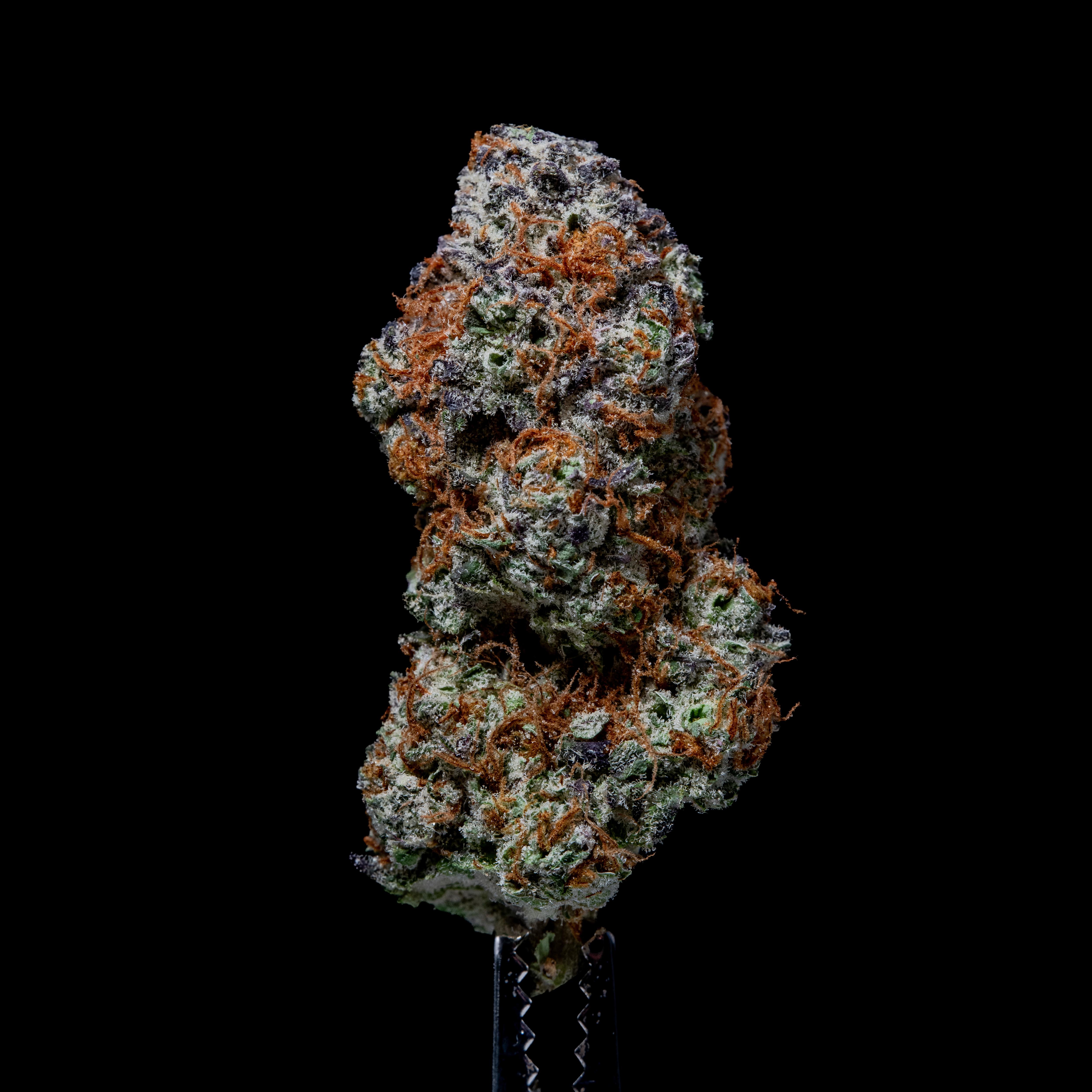 Photograph of product: Gud Gardens Mega Peaches *Indoor* - 28g