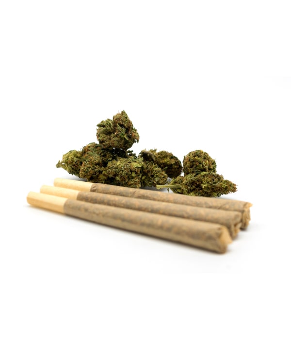 Photograph of product: Urban Roots - Hemp Prerolls - Sour Hawiian (3pk)