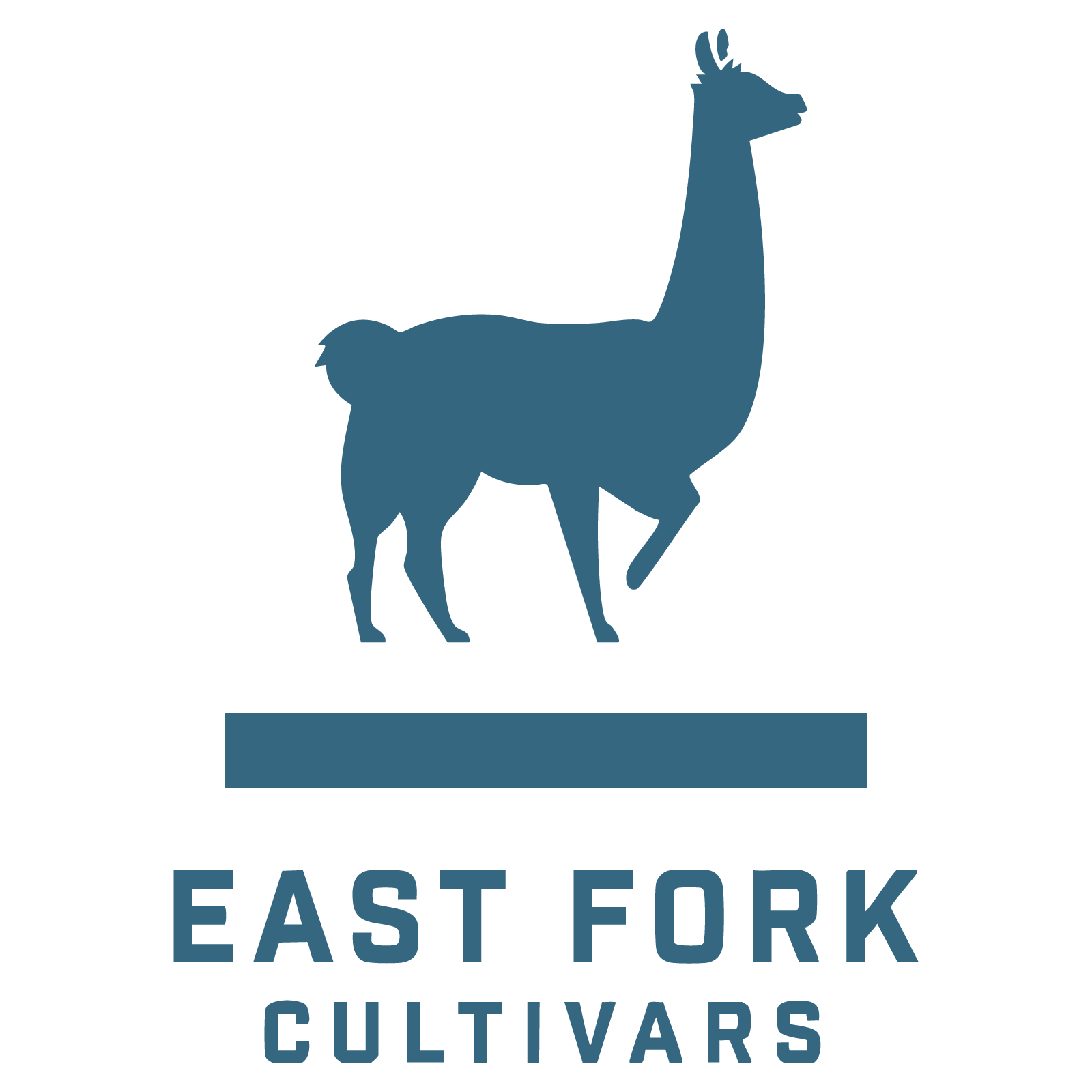 Photograph of product: East Fork Cultivars Tangerang - 28g