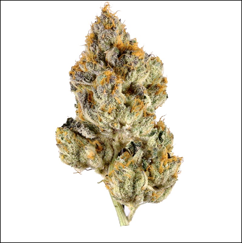Photograph of product: JHR Bud | Sweet N Sour Jack (H) - 3.5g