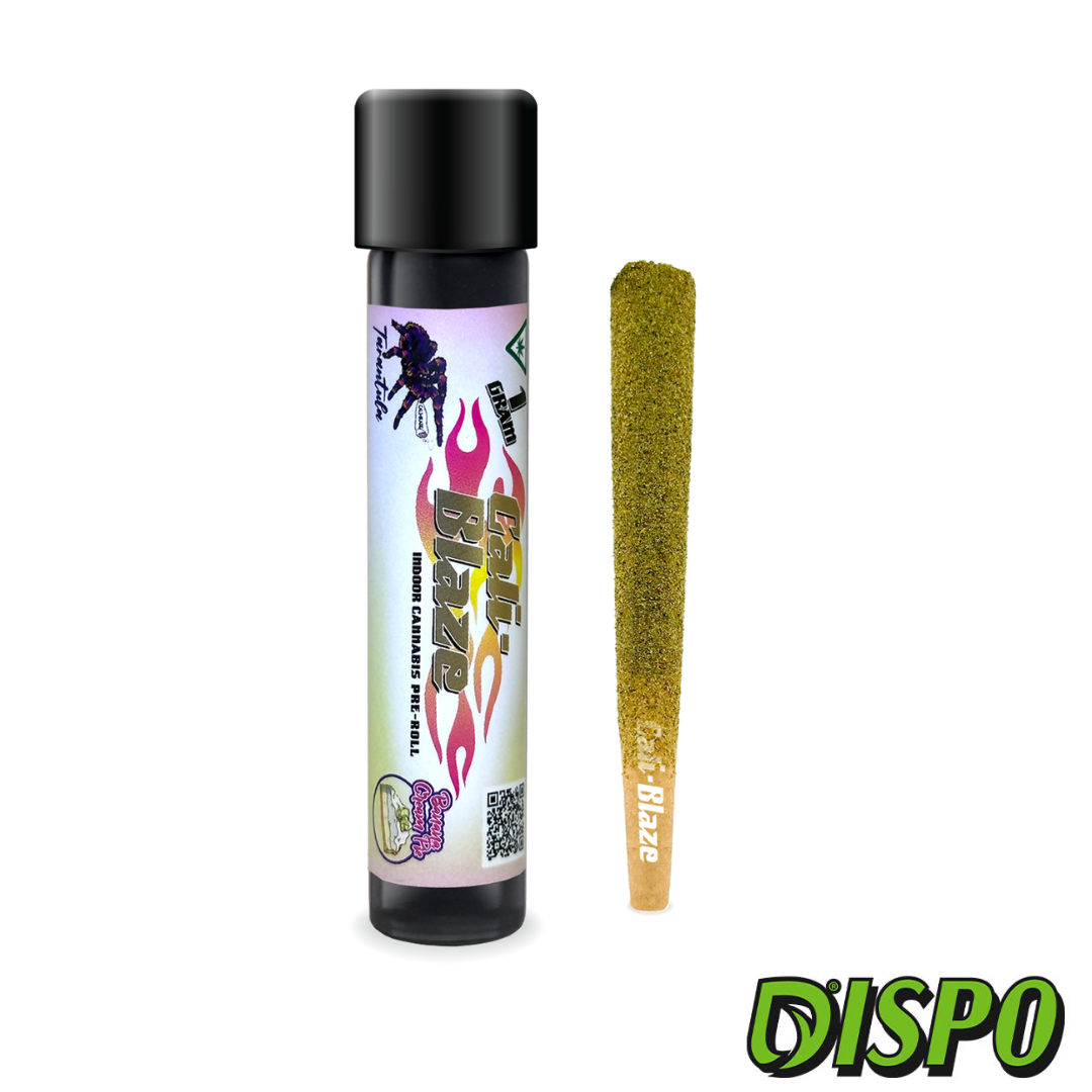 Photograph of product: Cali Blaze - Banana Cream Pie 1G Infused Tarantula