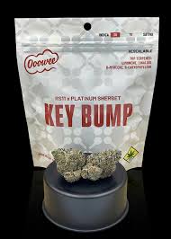 Photograph of product: Ooowee | Key Bump - 7g