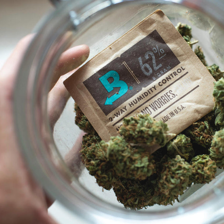 Photograph of product: Boveda Single