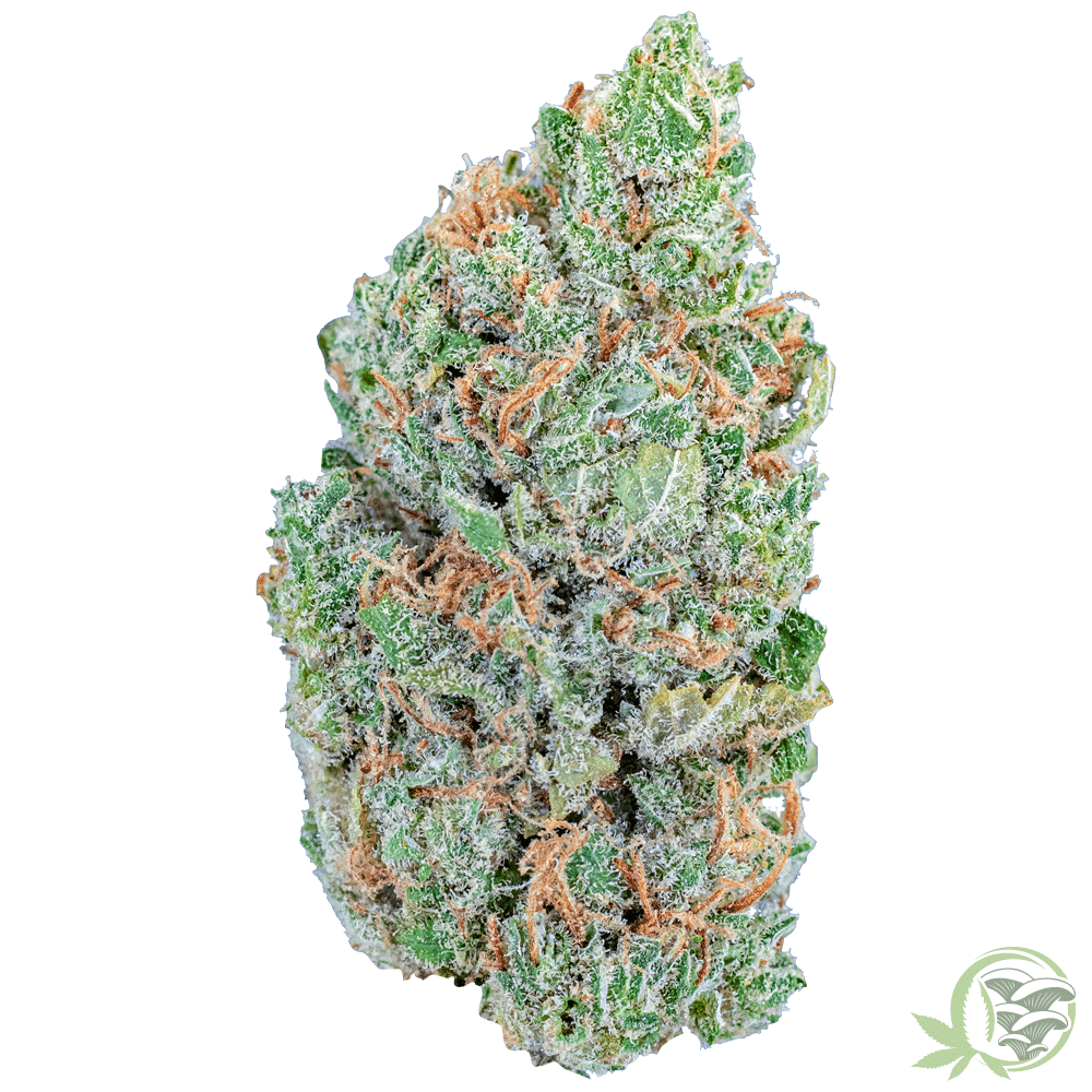 Photograph of product: Twisted Growers - Lemon Drop - Flower - 3.5g