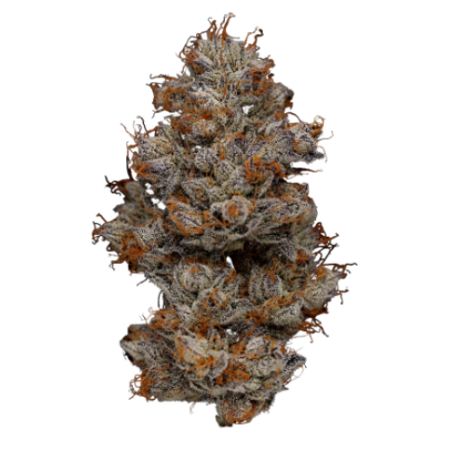 Photograph of product: LivWell Enlightened Health Snow Dream #1 - 14g