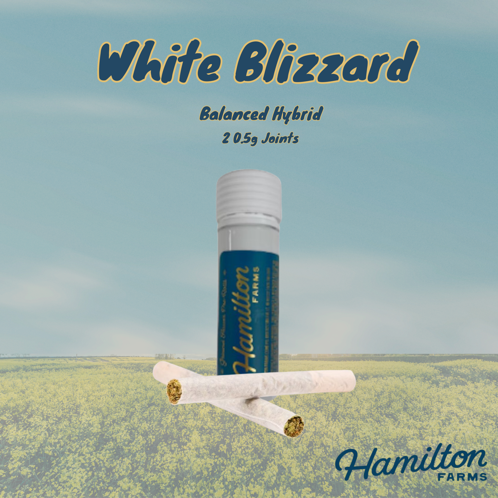 Photograph of product: Hamilton Farms 2pk | White Blizzard | 1g (Hybrid)