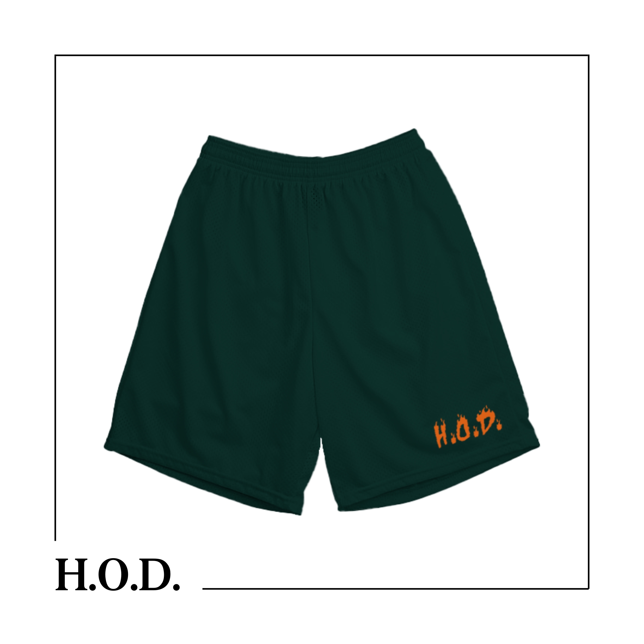Photograph of product: H.O.D. Green Flame Basketball Shorts XS