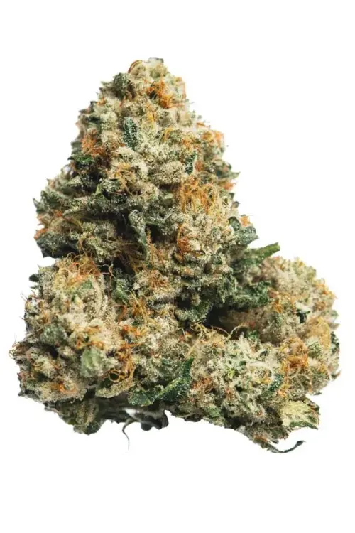 Photograph of product: LEGEND OG