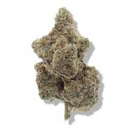 Photograph of Product: Flower | Zabibi | Gus's Exotics - 14g