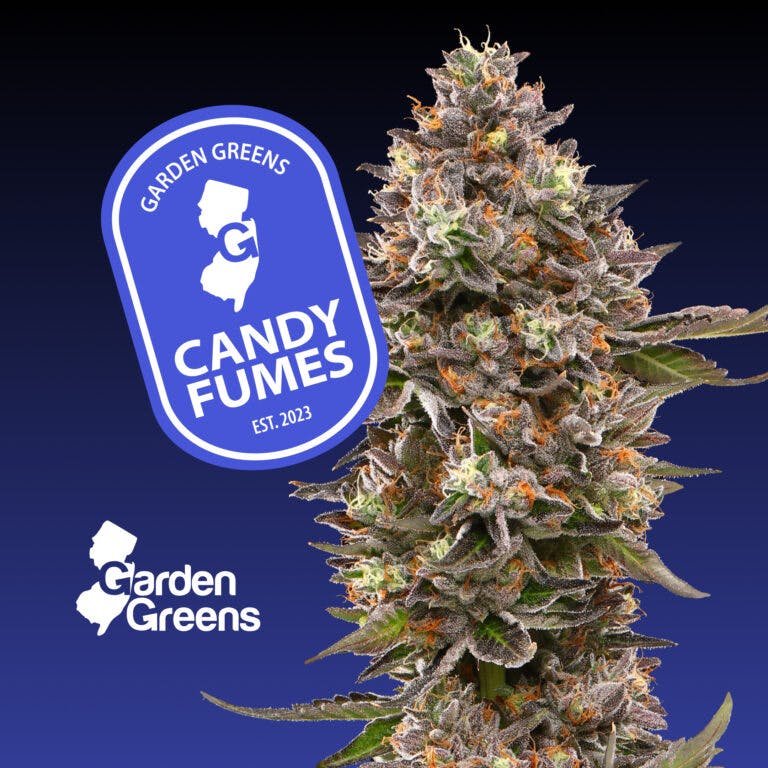 Photograph of Product: Candy Fumes - 3.5g Flower