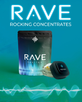 Photograph of product: Resinate Blueberry 1g Badder