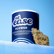 Photograph of product: NF1 | Flower | 3.5g
