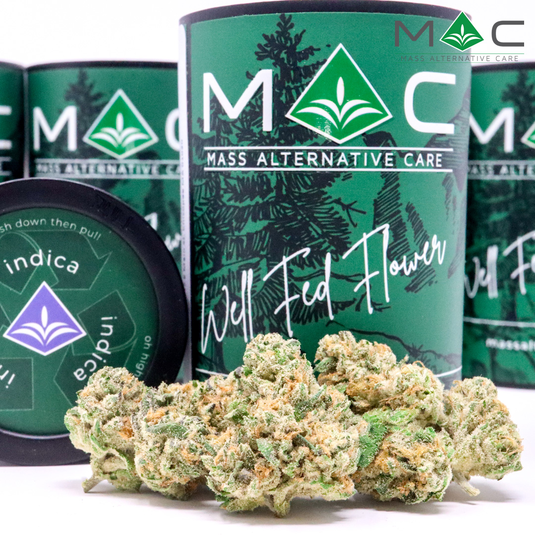 Photograph of product: LA Beatnik 1/8 29.29% TAC 2.52% Terpenes - 3.5g