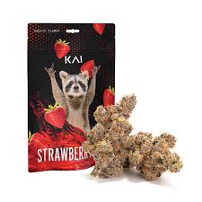 Photograph of product: Kai Strawberry Gary Flower - 3.5g