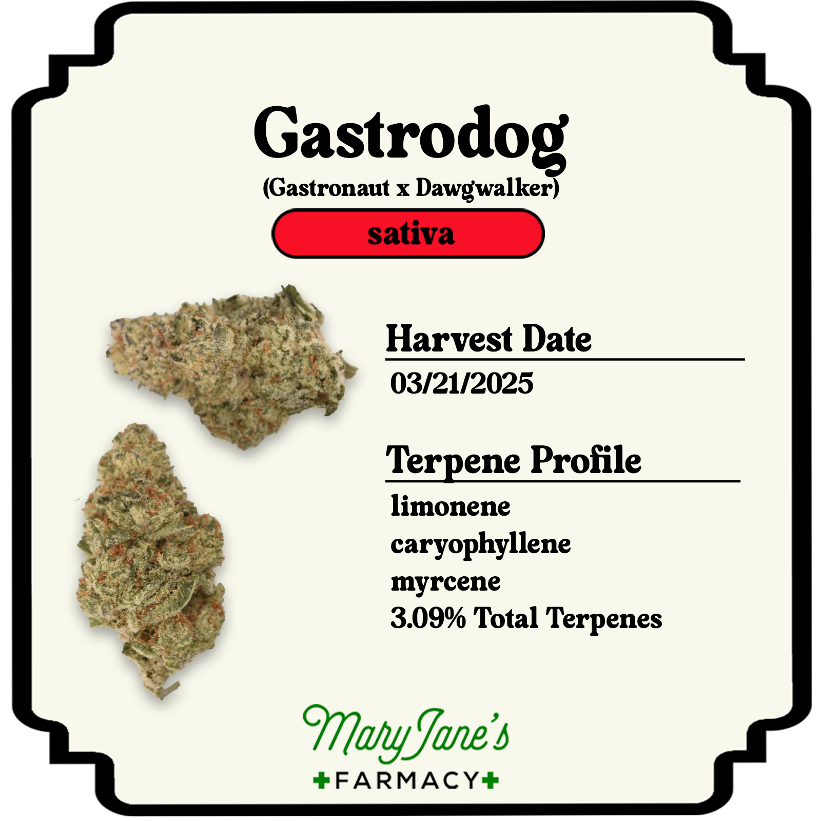 Photograph of product: Gastrodog Pre-roll | .5g