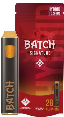 Photograph of product: 2G All-in-One (Hybrid)