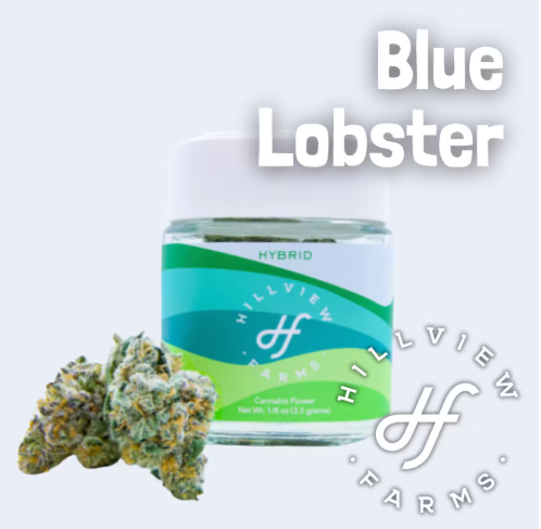 Photograph of product: Hillview - Blue Lobster 3.5G Bud