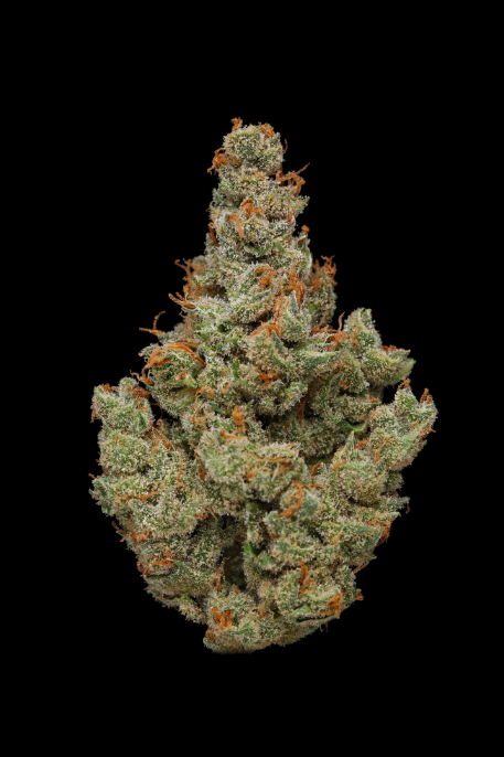 Photograph of product: Clade9 Flower 3.5g- J1