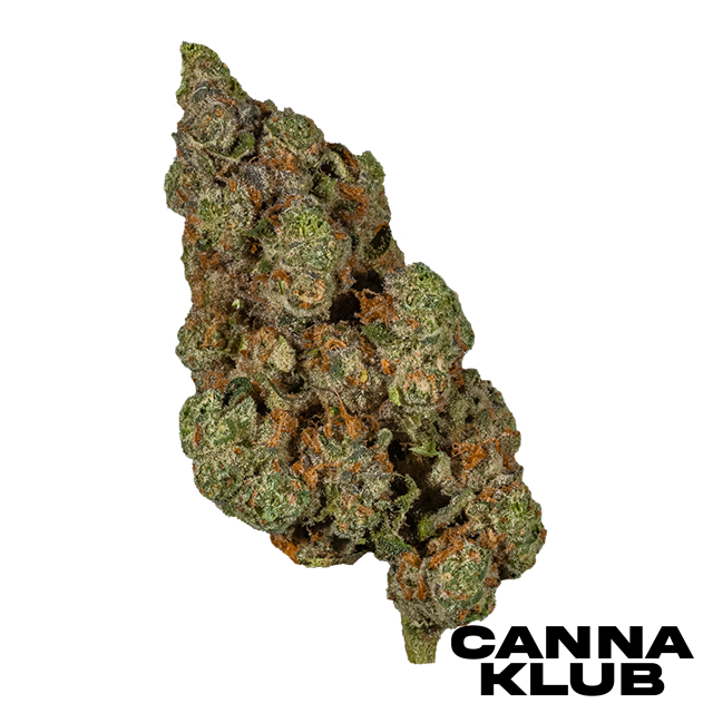 Photograph of product: FIRST CLASS FUNK 14G *2 FOR 160*