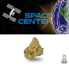 Photograph of product: Space Center Flower | 3.5g | Sanctuary medicinal