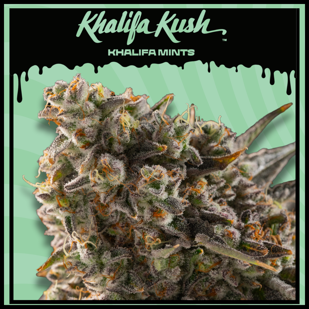 Photograph of product: Khalifa Kush Khalifa Mints 3.5g Prepack