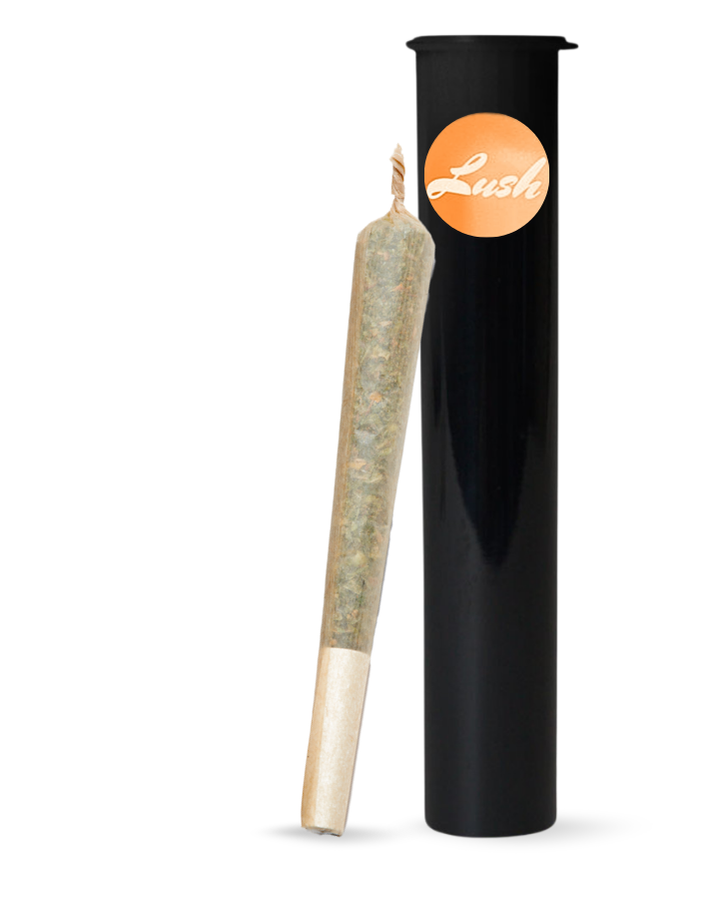 Photograph of product: Lush Garlic Cocktail (H) Pre-Roll 1g