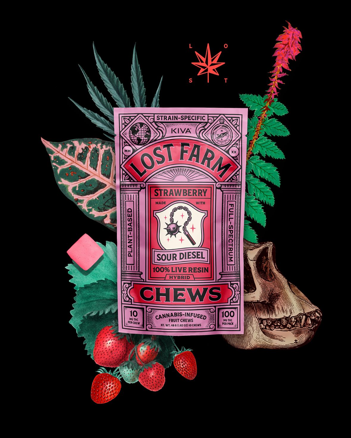 Photograph of product: Kiva Lost Farm Strawberry (S) Live Resin Fruit Chew 10mg 10pk