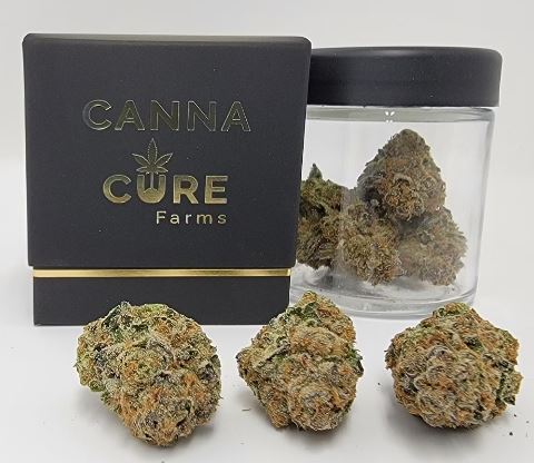 Photograph of product: Canna Cure - Flower - Blue Zushi  (H) - 3.5g