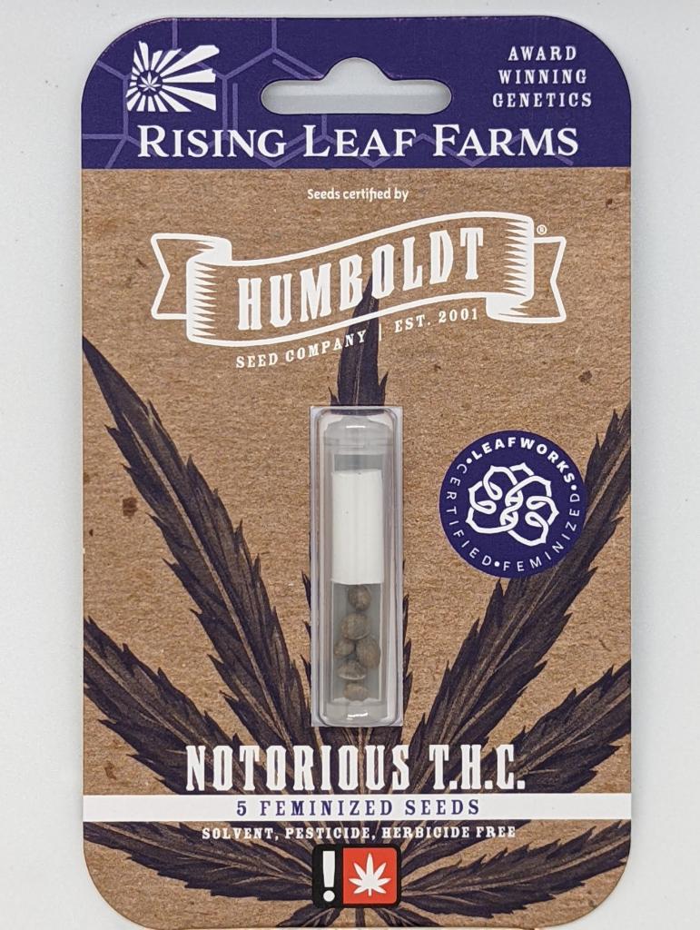 Photograph of product: Humboldt Feminized Notorious TH-oui 5 Pack Seeds