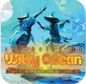 Photograph of product: Willy Ocean 2.83g