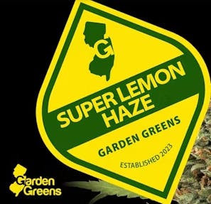Photograph of product: Super Lemon Haze Flower