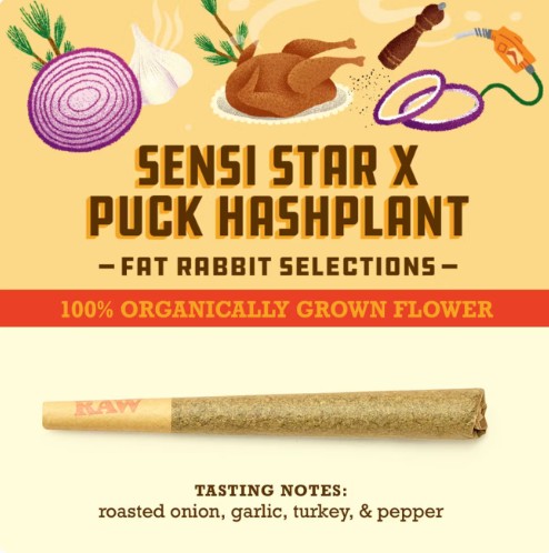 Photograph of product: Sensi Star x Puck au chocolatplant Pre-Roll | 1g
