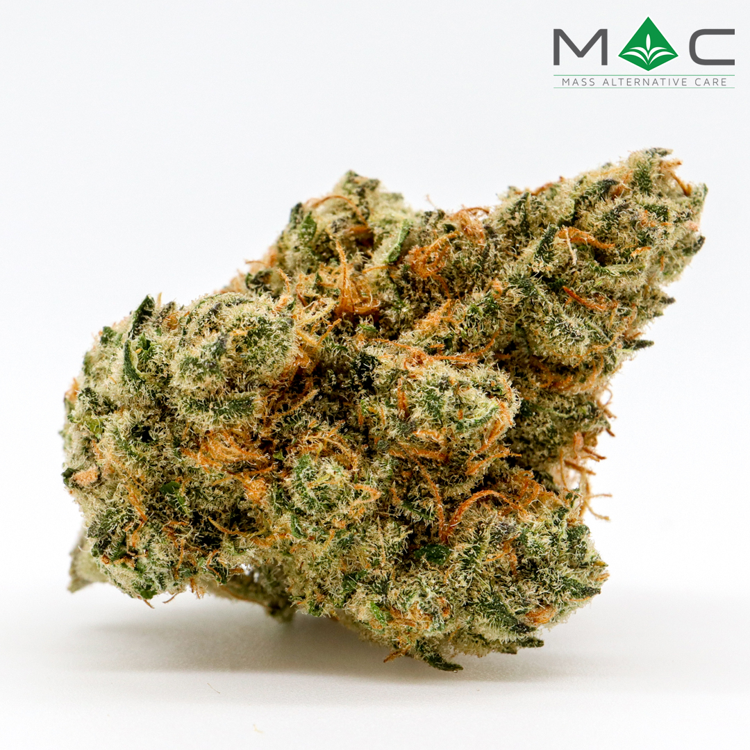 Photograph of product: Maui Wowie 2.0 1/8 27.36% TAC 1.57% Terpenes - 3.5g