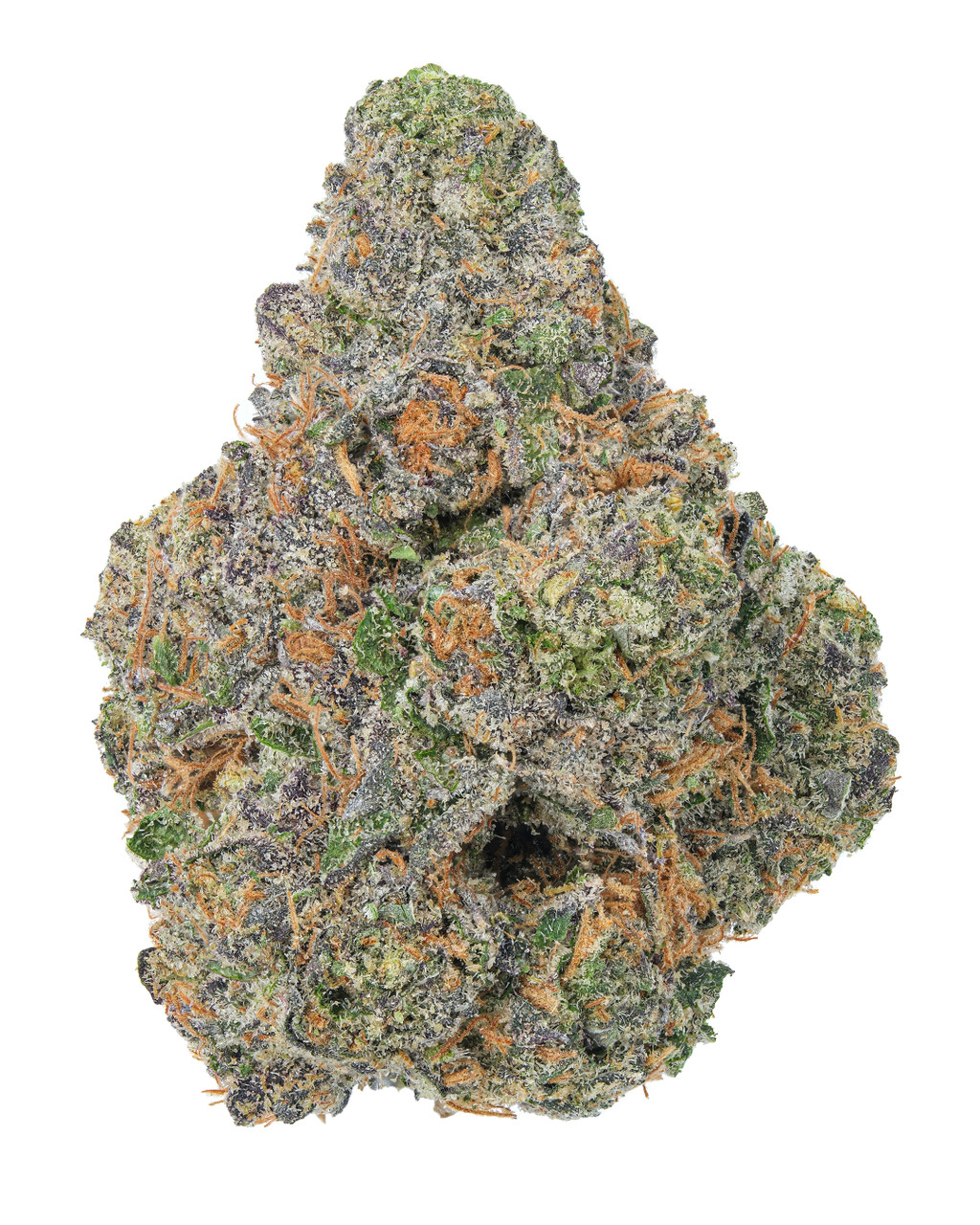 Photograph of Product: Sherb Pie Flower by Peninsula Gardens - 1g