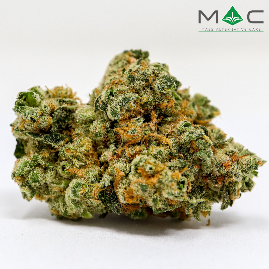 Photograph of Product: MAC 1 1/8 30.97% TAC 2.30% Terpenes - 28g